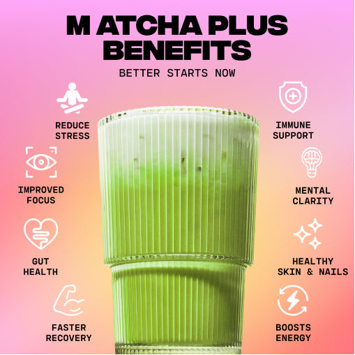 Matcha+ Starter Kit (30 Servings) - Premium Pick